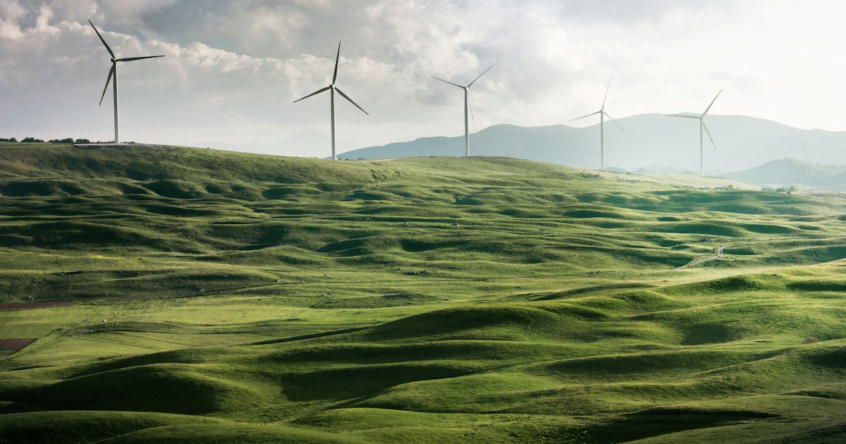 Turbine eoliene pe un camp, context pentru formarea GWO BST